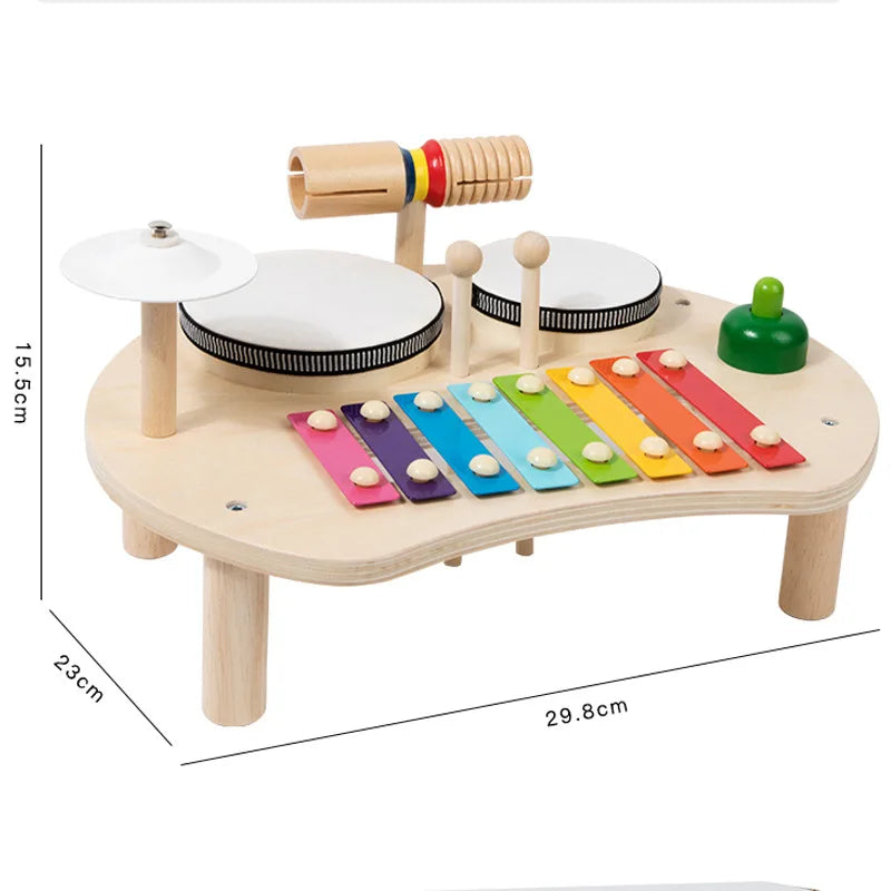 Montessori Musical Toy