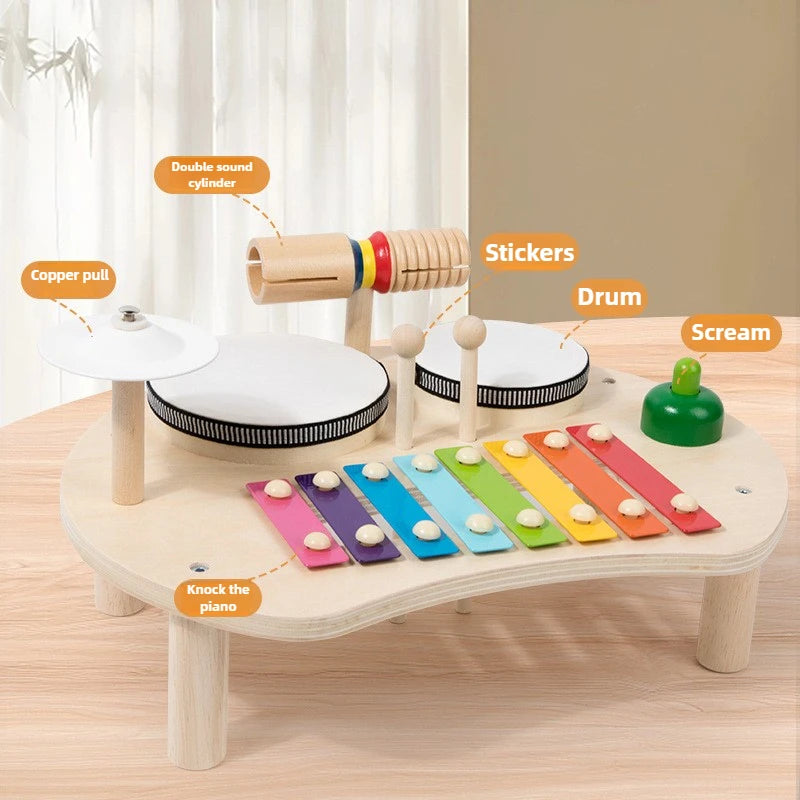 Montessori Musical Toy