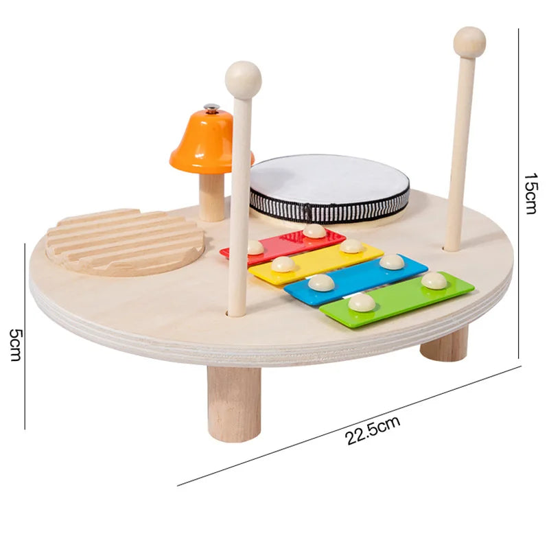 Montessori Musical Toy